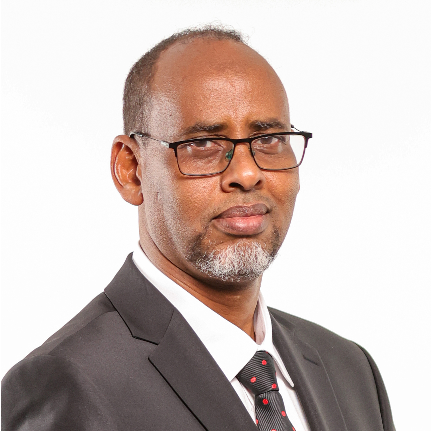 CPA Abdullahi M. Abdi, PhD